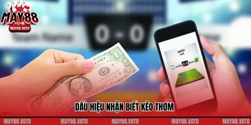 Dấu hiệu nhận biết kèo thơm 